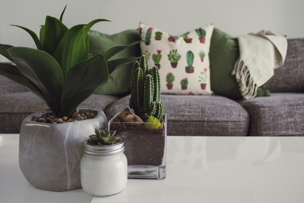 Home Staging: Jak Przygotować Nieruchomość do Sprzedaży i Zyskać Nawet 10% Więcej? Kompletny Przewodnik