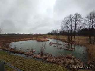 Działka rolna Straszków 1,15ha