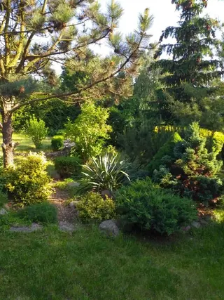 Działka rekreacyjna nad jeziorem Długie