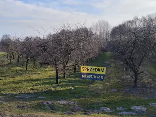 Działka Józefowo - 0,5384 ha