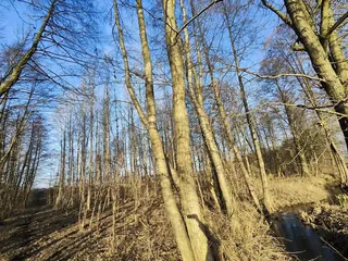 Działka Józefowo - 0,5384 ha