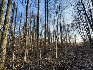 Działka Józefowo - 0,5384 ha
