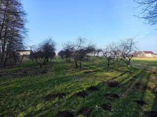 Działka Józefowo - 0,5384 ha