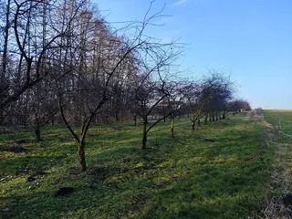 Działka Józefowo - 0,5384 ha