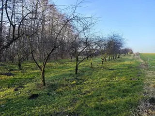Działka Józefowo - 0,5384 ha