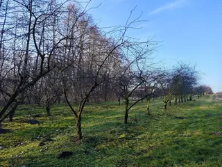Działka Józefowo - 0,5384 ha