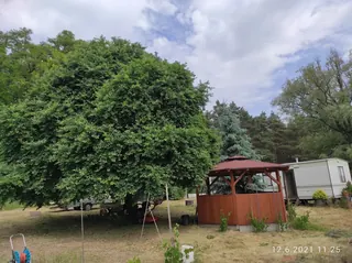 Działka Chełmno (siedliskowa/budowlana)