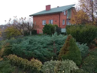 Siedlisko - Cząstków