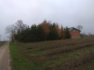 Siedlisko - Cząstków