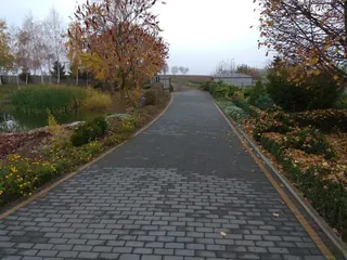 Siedlisko - Cząstków
