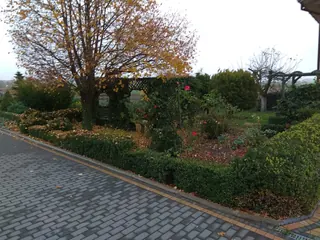 Siedlisko - Cząstków