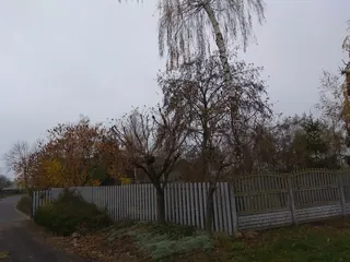 Siedlisko - Cząstków