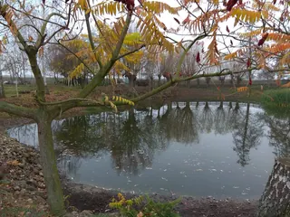 Siedlisko - Cząstków