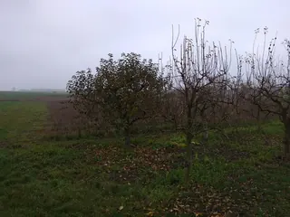 Gospodarstwo rolne - Cząstków