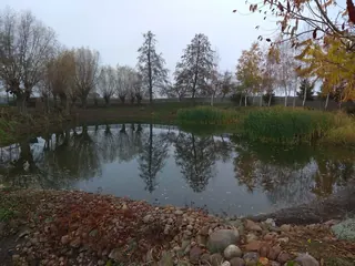 Siedlisko - Cząstków