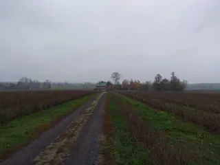 Gospodarstwo rolne - Cząstków