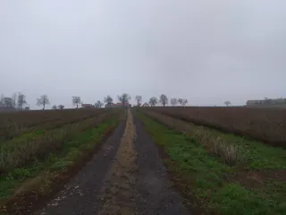 Gospodarstwo rolne - Cząstków