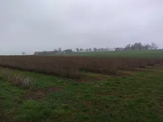 Gospodarstwo rolne - Cząstków