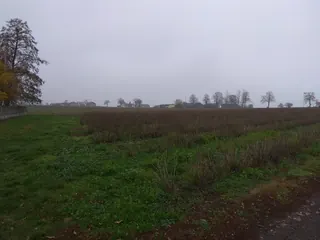 Siedlisko - Cząstków
