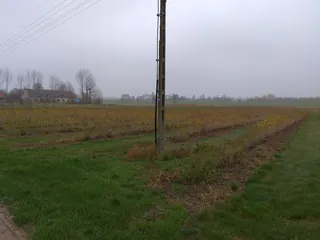 Gospodarstwo rolne - Cząstków