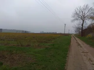 Siedlisko - Cząstków