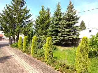 2 domy jednorodzinne Uniejów (220mkw.oraz 122mkw.)