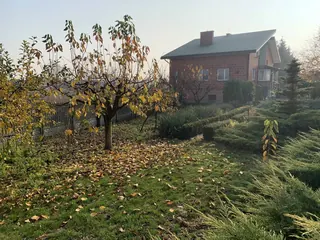 Siedlisko - Cząstków