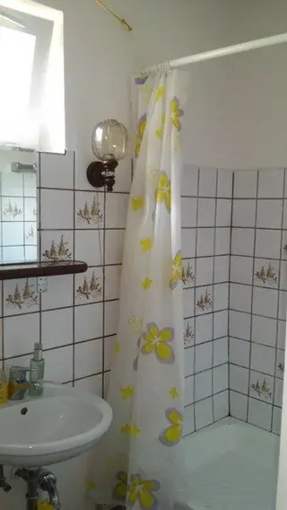 Działka letniskowa z domem - Tręby