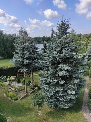Działka rekreacyjna nad jeziorem Długie