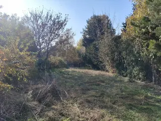 Dom jednorodzinny w Kole 70m2