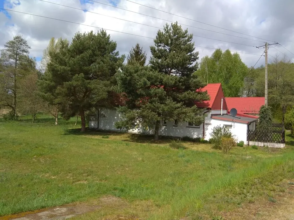 Działka siedliskowa Janów
