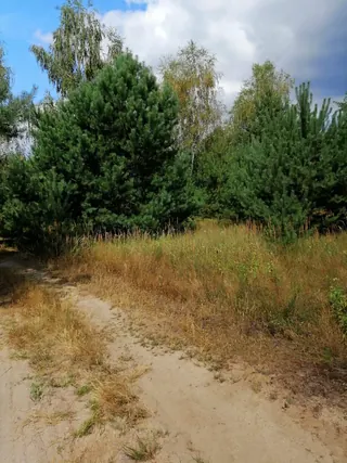 Działka Korzecznik Podlesie