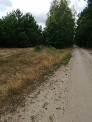 Działka Korzecznik Podlesie