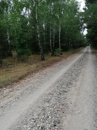 Działka Korzecznik Podlesie