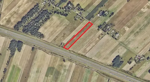 Działka Dąbrowice Częściowe – 0,82 ha