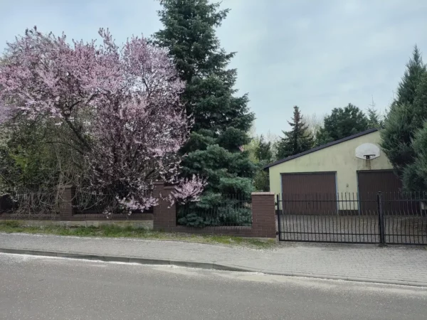 Dom jednorodzinny Izbica Kujawska 220m2 - obrazek 28